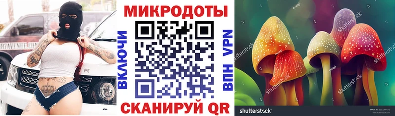 Псилоцибиновые грибы мухоморы  купить закладку  Пласт 