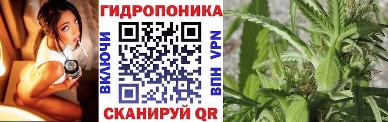 Бошки марихуана марихуана  Пласт 
